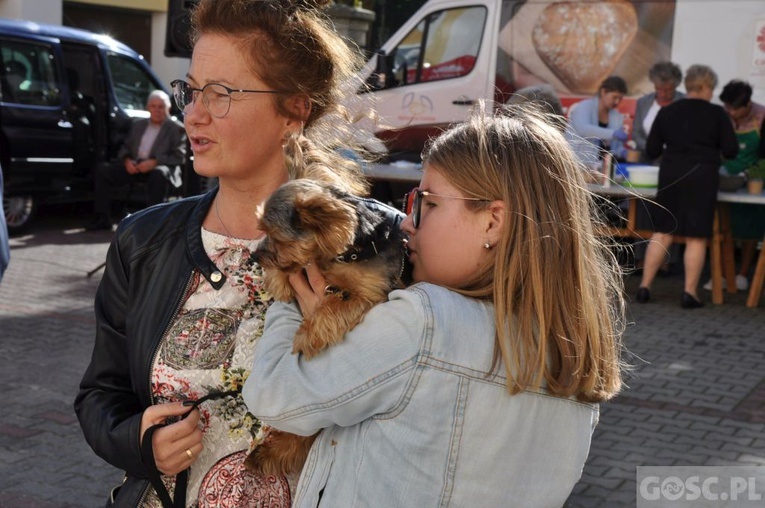 Niedziela św. Franciszka w Głogowie