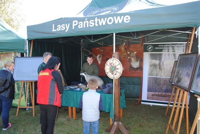 Żabno. Nadsański Huberus