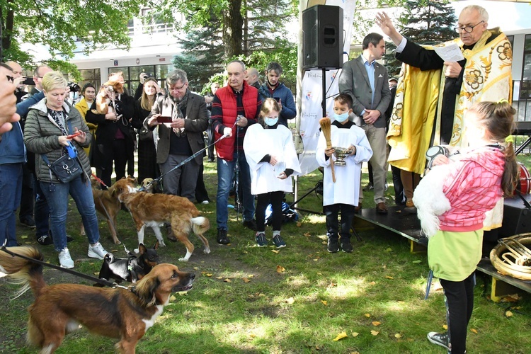 X Dzień św. Franciszka i Lasu Bielańskiego