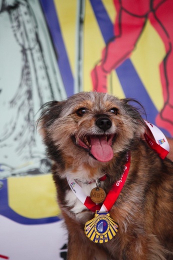 III Brzeska Dycha św. Jakuba