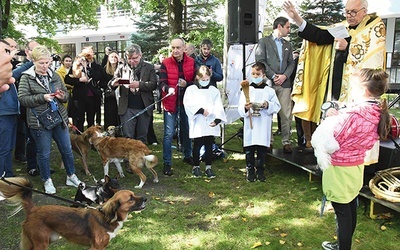 Z okazji przypadającego 4 października liturgicznego wspomnienia  św. Franciszka na placu przed kościołem bł. Edwarda Detkensa odbyło się błogosławieństwo zwierząt.