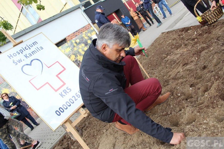 Oficjalna inauguracja akcji Pola Nadziei w Gorzowie Wlkp.