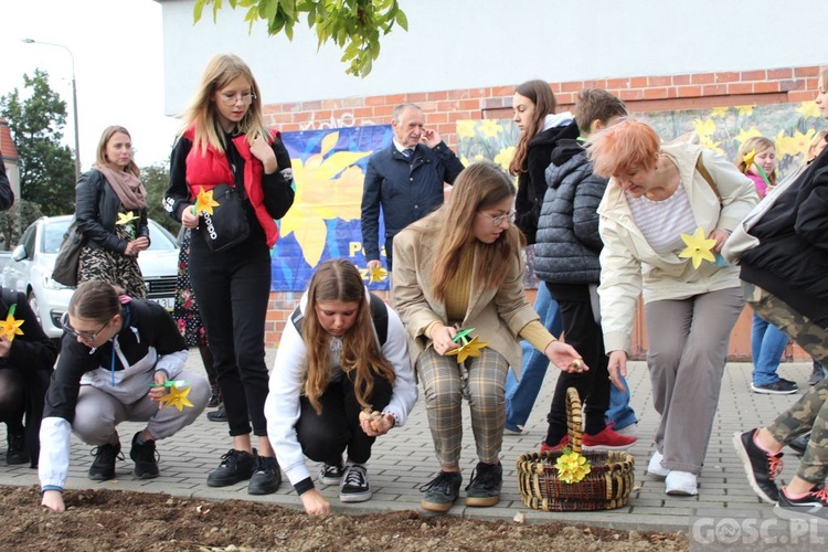 Oficjalna inauguracja akcji Pola Nadziei w Gorzowie Wlkp.