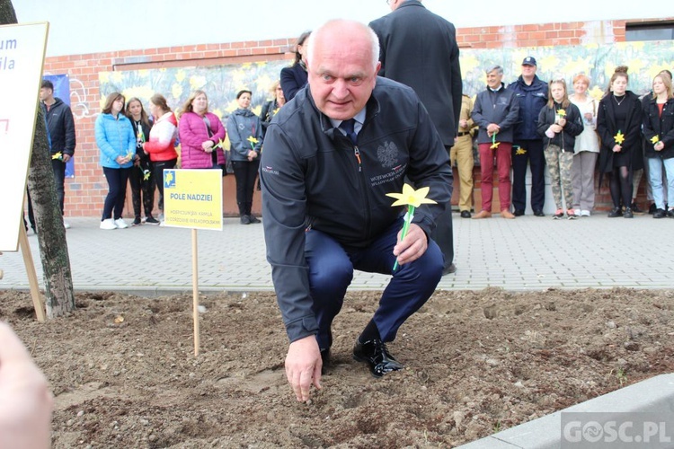 Oficjalna inauguracja akcji Pola Nadziei w Gorzowie Wlkp.