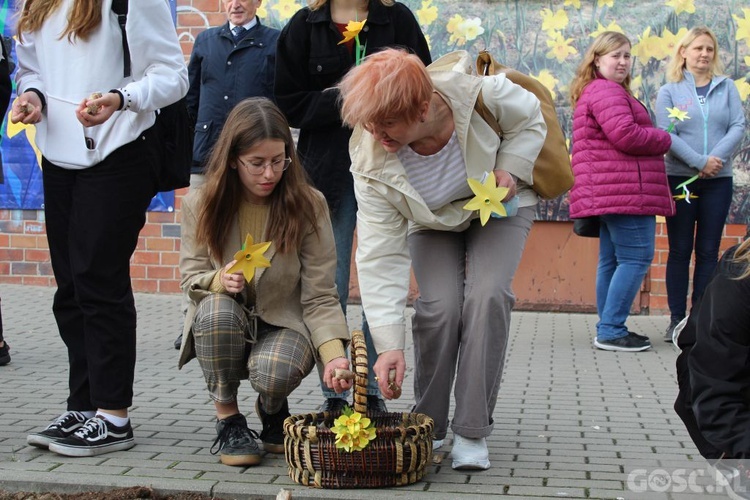 Oficjalna inauguracja akcji Pola Nadziei w Gorzowie Wlkp.