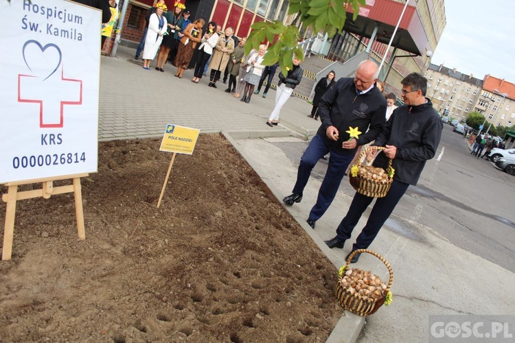 Oficjalna inauguracja akcji Pola Nadziei w Gorzowie Wlkp.