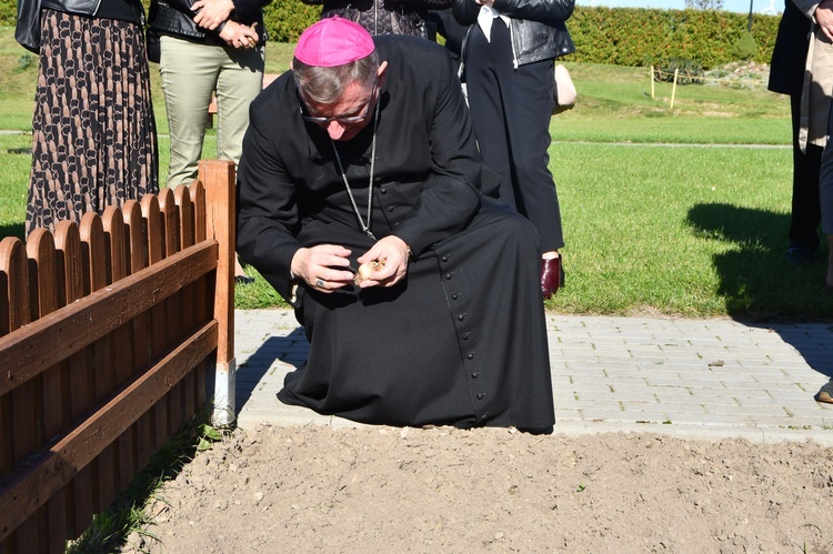 Pola Nadziei w darłowskim hospicjum