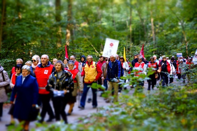 Wolontariusze Caritas z pielgrzymką w Trzebnicy