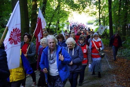 Wolontariusze Caritas z pielgrzymką w Trzebnicy