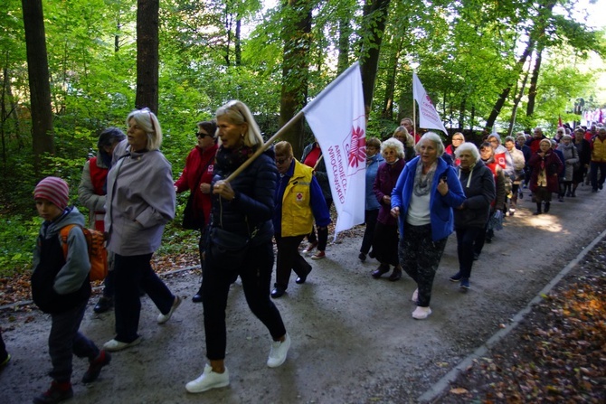 Wolontariusze Caritas z pielgrzymką w Trzebnicy