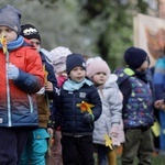 Kampania Pola Nadziei w Świdnicy