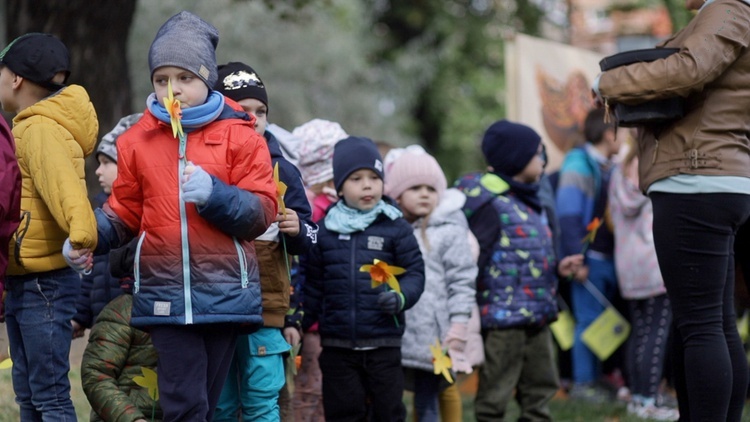 Kampania Pola Nadziei w Świdnicy