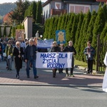 Marsz dla Życia i Rodziny w Krynicy-Zdroju