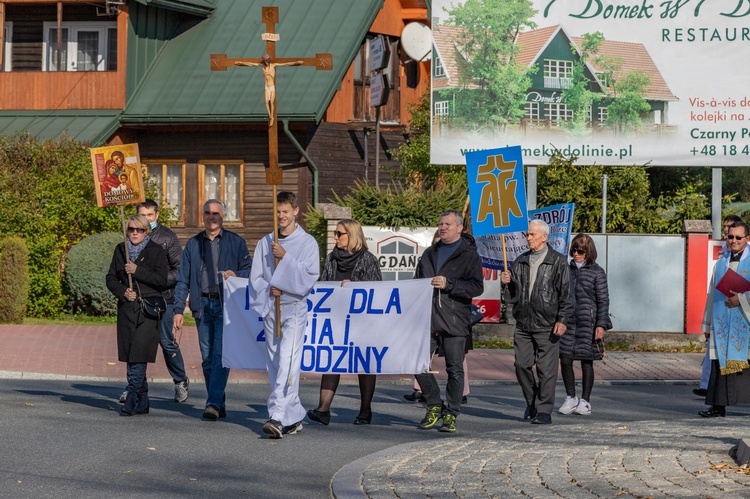 Marsz dla Życia i Rodziny w Krynicy-Zdroju