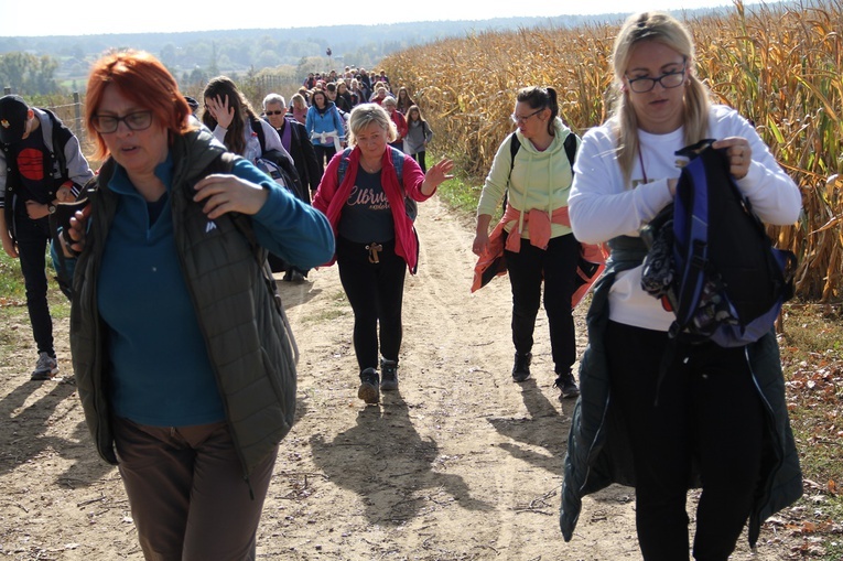 Pielgrzymka trzebnicka cz. 7