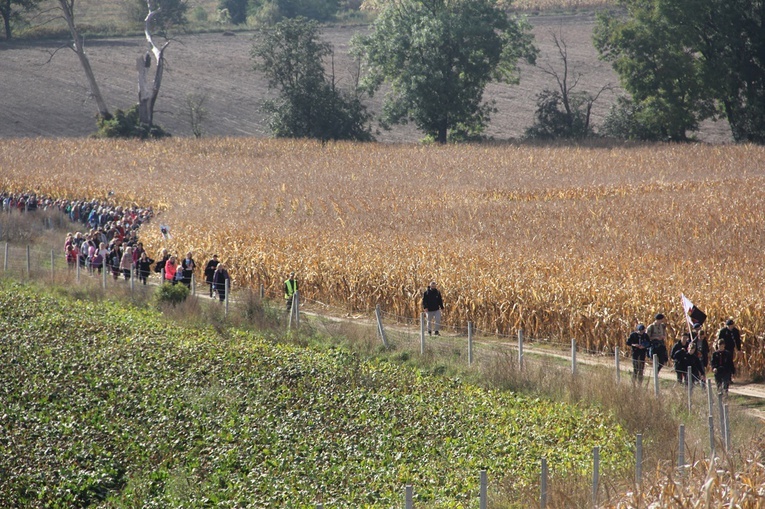 Pielgrzymka trzebnicka cz. 8