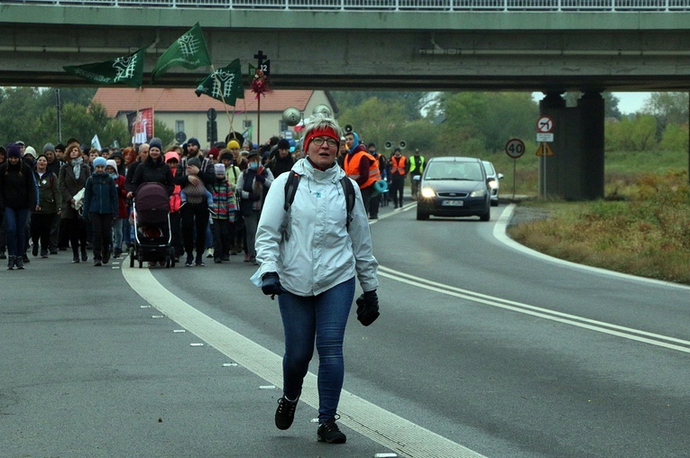 Pielgrzymka trzebnicka cz. 9