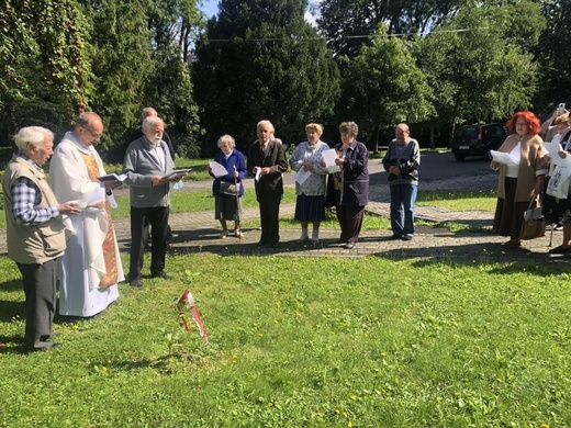 Jubileuszowe dęby na 40-lecie KIK-u w bielskim "Józefowie"