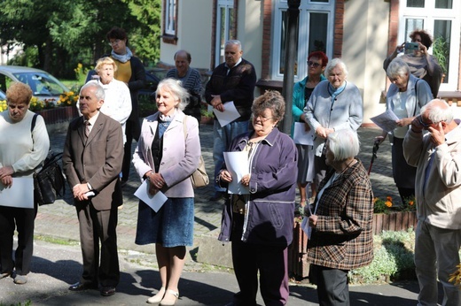 Jubileuszowe dęby na 40-lecie KIK-u w bielskim "Józefowie"