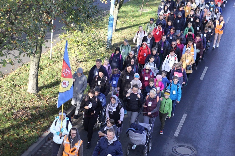 Do progów św. Jadwigi Śląskiej