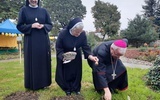 Biskup symbolicznie włączył się w akcję „Pola Nadziei” sadząc żonkila.