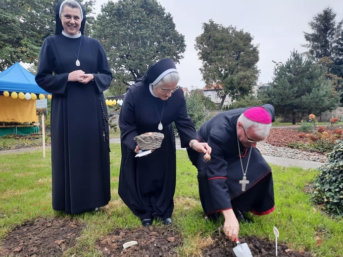 Biskup symbolicznie włączył się w akcję „Pola Nadziei” sadząc żonkila.