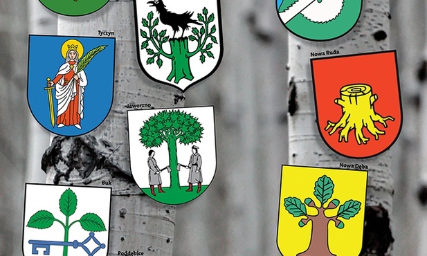 Dęby, sosny  i palma