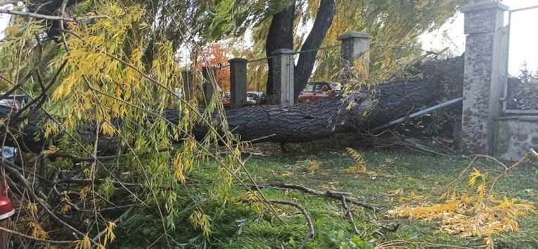 Zniszczenia po wichurze na terenie diecezji świdnickiej