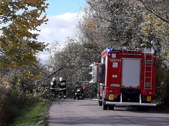 Zniszczenia po wichurze na terenie diecezji świdnickiej