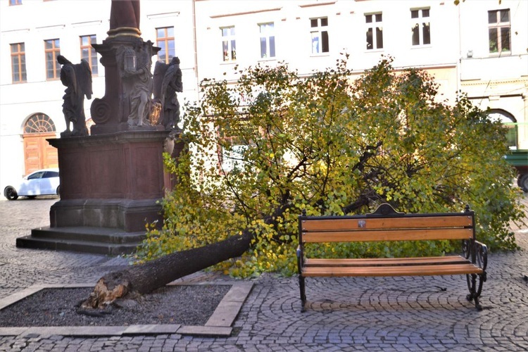 Zniszczenia po wichurze na terenie diecezji świdnickiej