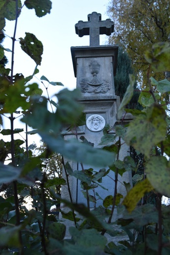 Nagrobki w Łososinie Górnej 