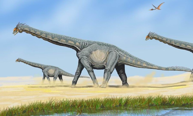 Znaleziono dobrze zachowane skamieniałe jaja dinozaura
