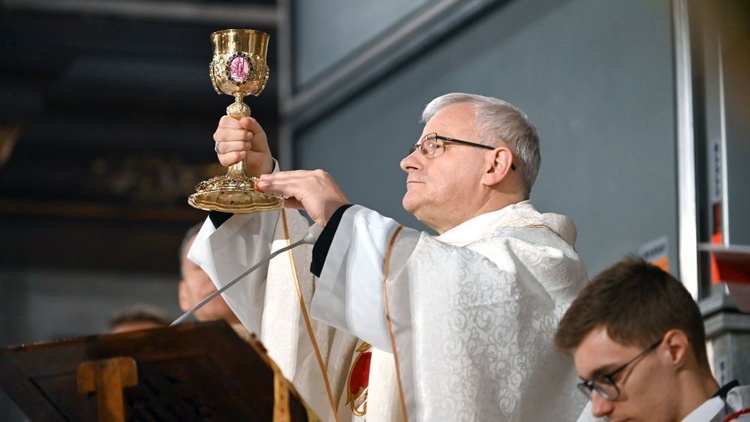 Obchody wspomnienia św. Jana Pawła II w Świdnicy