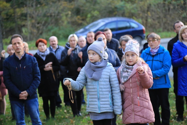 Kapliczki fatimskie w Kamionce Wielkiej