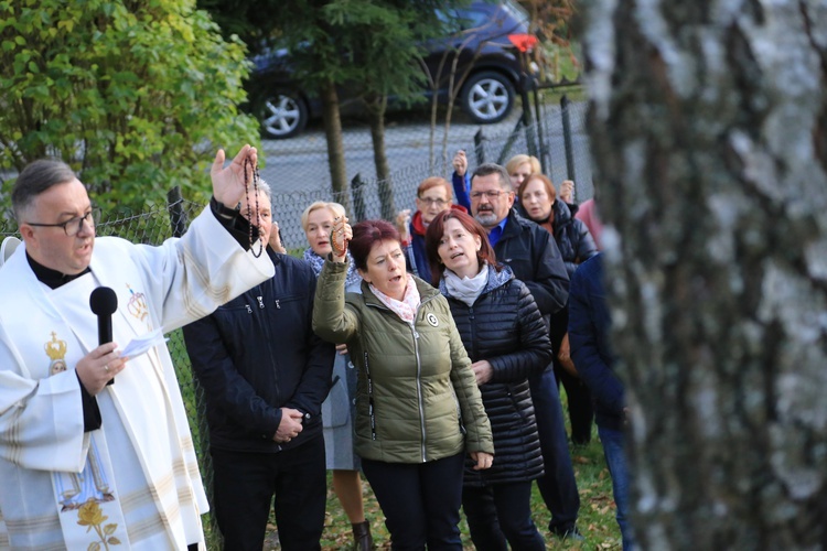 Kapliczki fatimskie w Kamionce Wielkiej