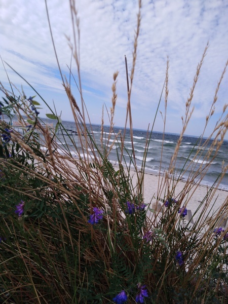 Brzesko. Konkursowe fotografie