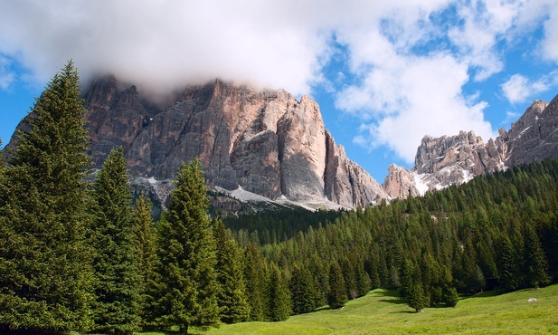 W tym roku na Placu św. Piotra stanie szopka z Peru i choinka z włoskich Dolomitów