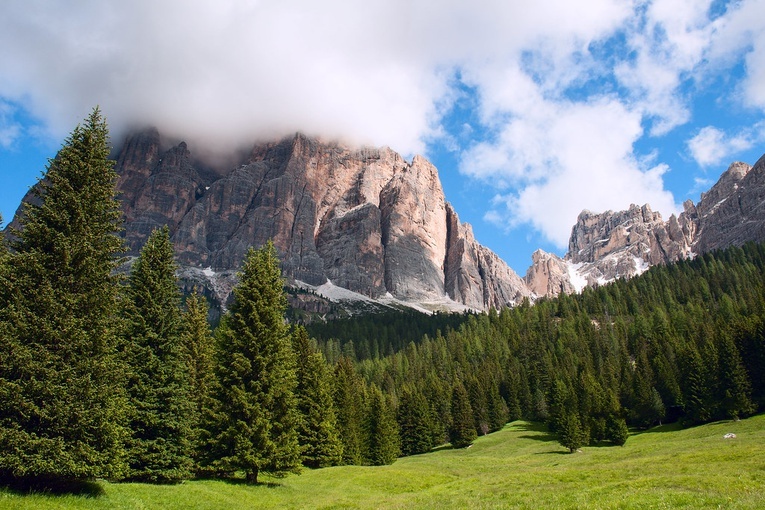 W tym roku na Placu św. Piotra stanie szopka z Peru i choinka z włoskich Dolomitów