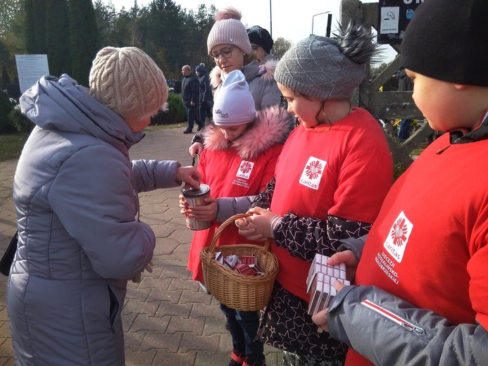 Znajdź wolontariusza, wesprzyj marznących