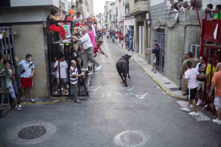 Hiszpania: Jeden zabity i dwóch rannych w gonitwach z bykami na wschodzie kraju
