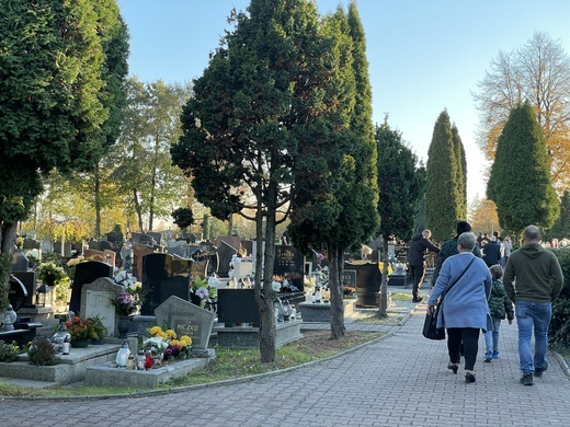 Śląskie nekropolie 