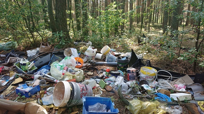 Leśnicy: stosy śmieci w lasach na południu Polski