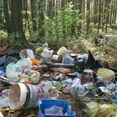 Leśnicy: stosy śmieci w lasach na południu Polski