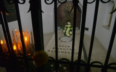 Grób biskupów radomskich na cmentarzu rzymskokatolickim w Radomiu przy ul. Limanowskiego.