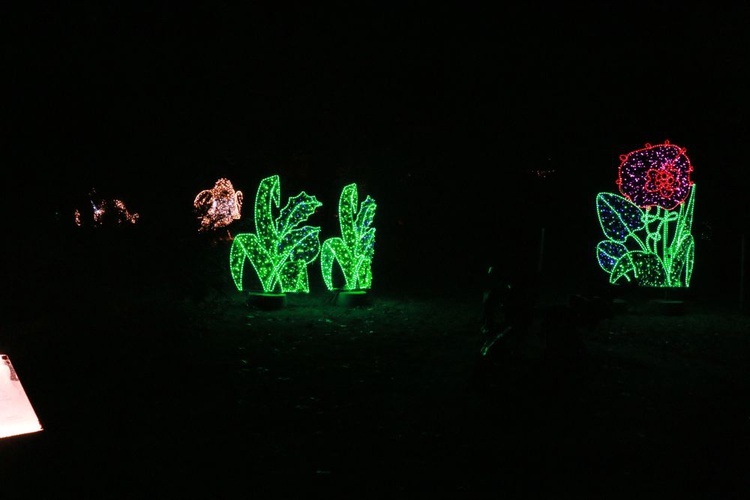 Park iluminacji