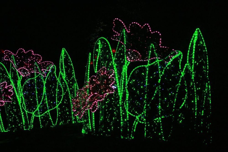 Park iluminacji