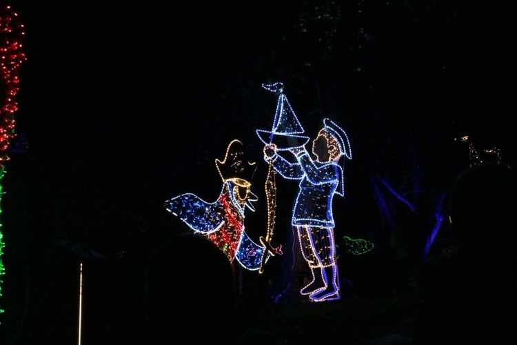 Park iluminacji