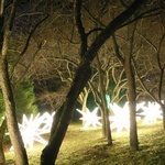 Park iluminacji