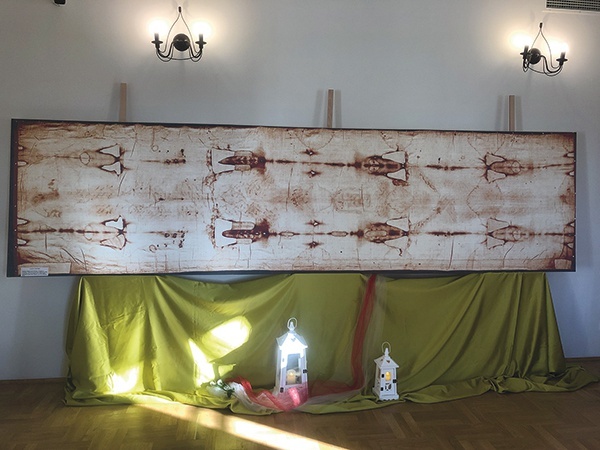 ▲	Ekspozycja w SOK w Dzikowcu.