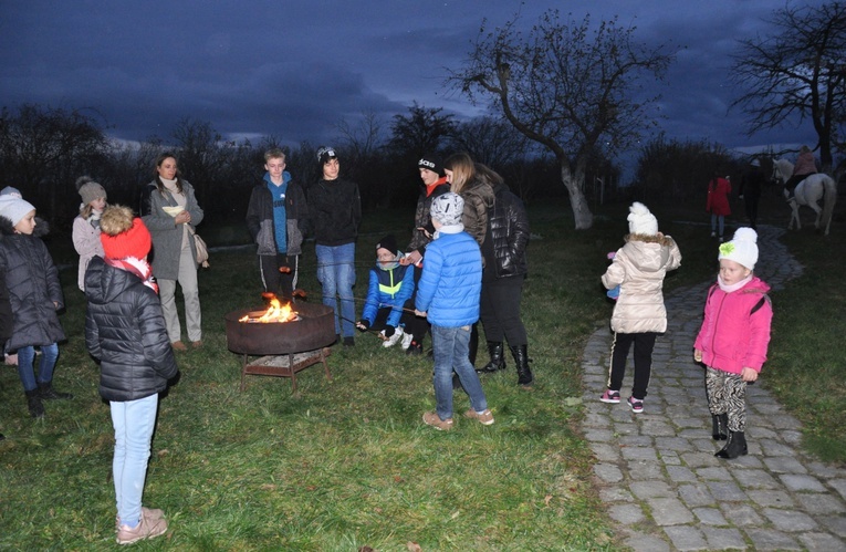 Św. Marcin w Biedrzychowicach